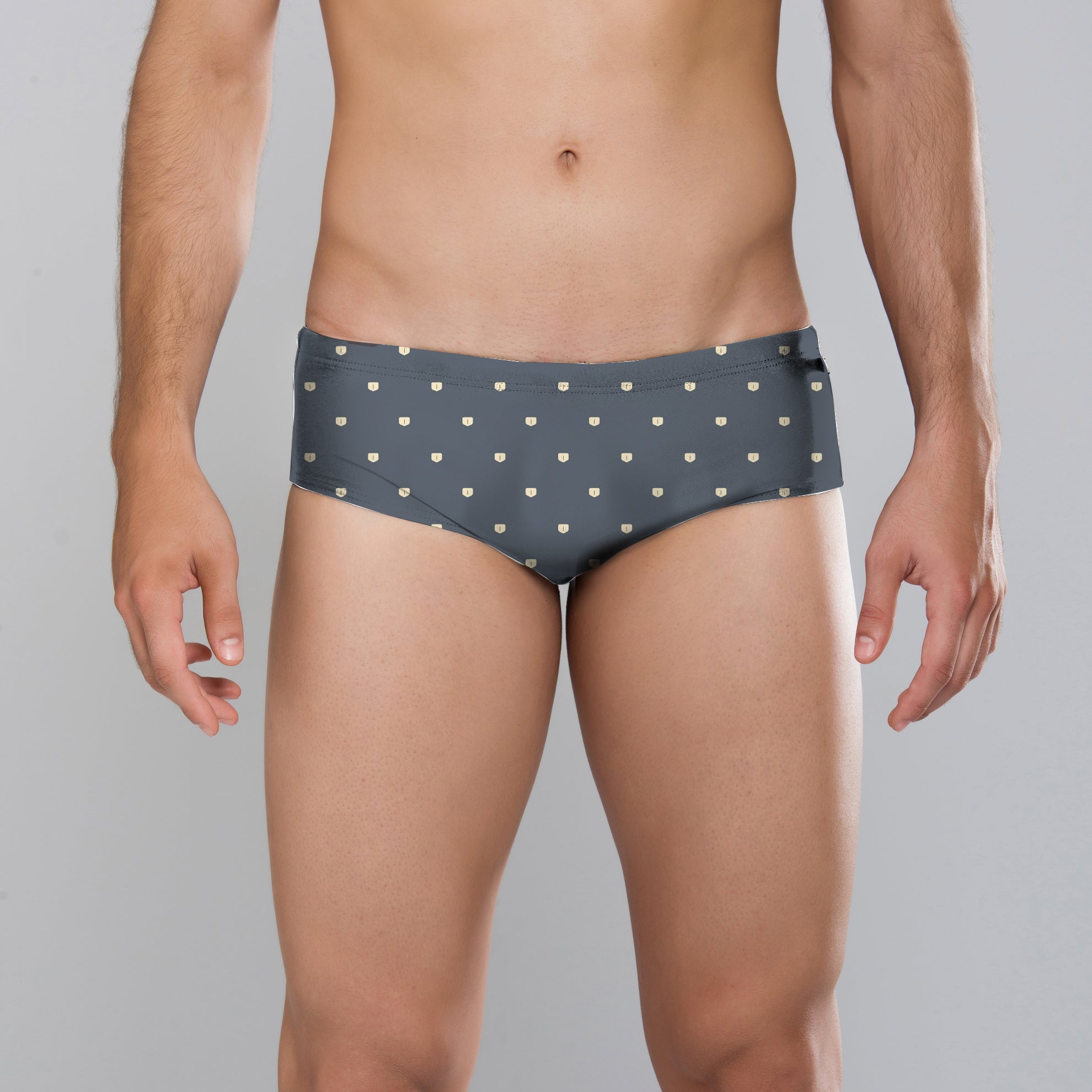 MÏAU Smart Brief Cat Grey men's swim brief